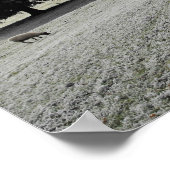 Schafe in einem frostigen Tal Poster (Ecke)