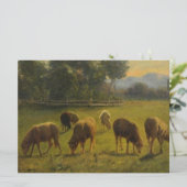 Schafe in einer ländlichen Umgebung (von Rosa Bonh Karte (Stehend Vorderseite)