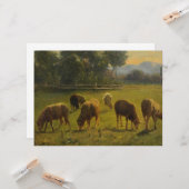 Schafe in einer ländlichen Umgebung (von Rosa Bonh Karte (Vorderseite/Rückseite Beispiel)