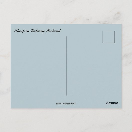 Schafe in Galway Irland Postkarte (Rückseite)