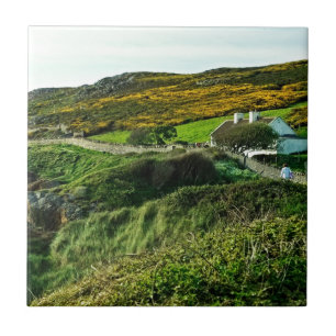 Schafe in Irland Fliese