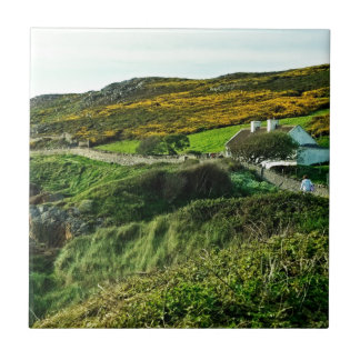 Schafe in Irland Fliese