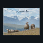 Schafe in Kasachstan Postkarte<br><div class="desc">Diese Postkarte bietet einen schönen Blick auf die Schafe auf dem Hügel Kasachstans. Foto: Evgeny Matveev,  2023. Genießen Sie Ihr neues Schaf in Kasachstan Postcard!</div>