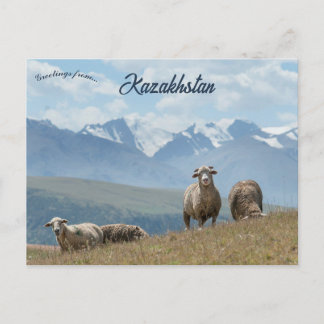Schafe in Kasachstan Postkarte