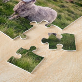 Schafe in Neuseeland | Christchurch Landscape | NZ Puzzle (Seite)
