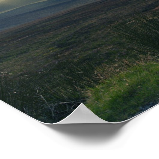 Schafe/Irland Landschaft Poster (Ecke)