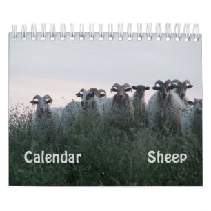 Schafe Kalender