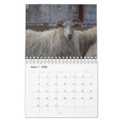 Schafe Kalender (Mär 2026)