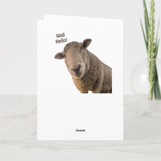 Schafe Karte (Rückseite)