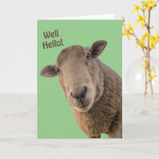 Schafe Karte (Gelbe Blume)