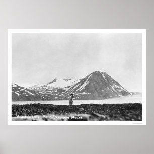 Schafe Kenai Halbinsel Alaska 1912 Poster