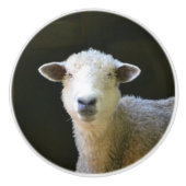 Schafe Keramikknauf (Vorderseite)