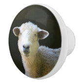Schafe Keramikknauf (Rechts)
