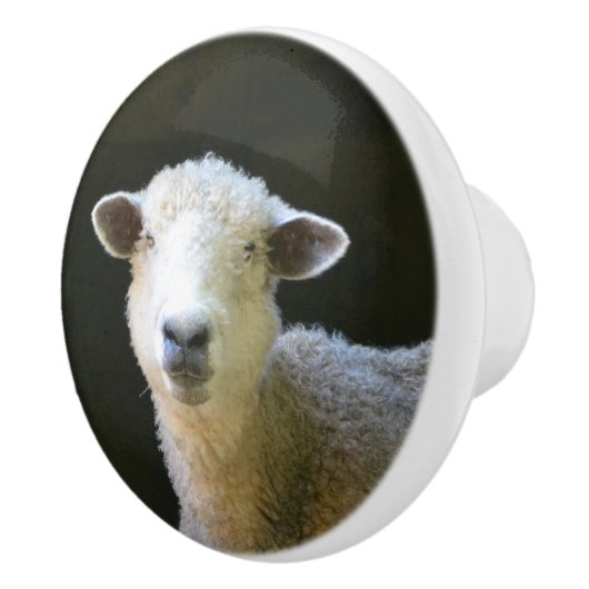 Schafe Keramikknauf (Rechts)