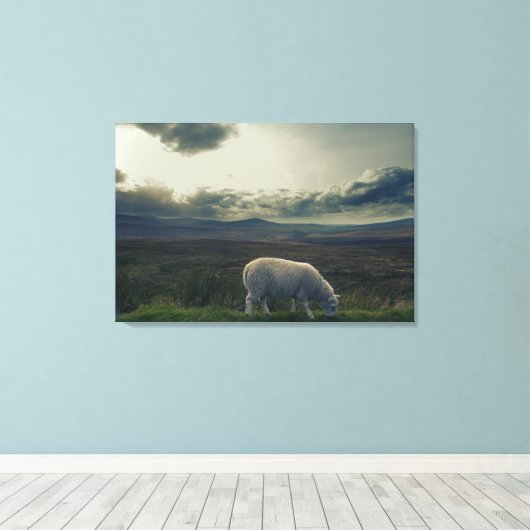 Schafe Leinwanddruck (Insitu (Holzboden))
