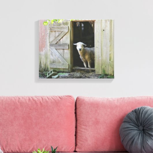 Schafe Leinwanddruck (Insitu (Wohnzimmer))