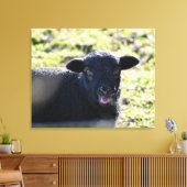 Schafe Leinwanddruck (Insitu (Wohnzimmer))