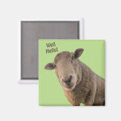 Schafe Magnet (Vorderseite/Rückseite)