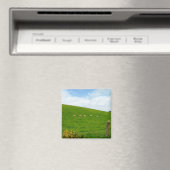 SCHAFE! MAGNET (In Situ (Geschirrspüler))