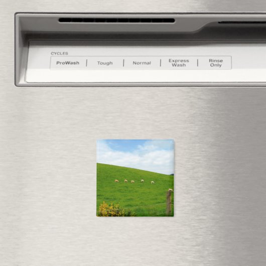 SCHAFE! MAGNET (In Situ (Geschirrspüler))