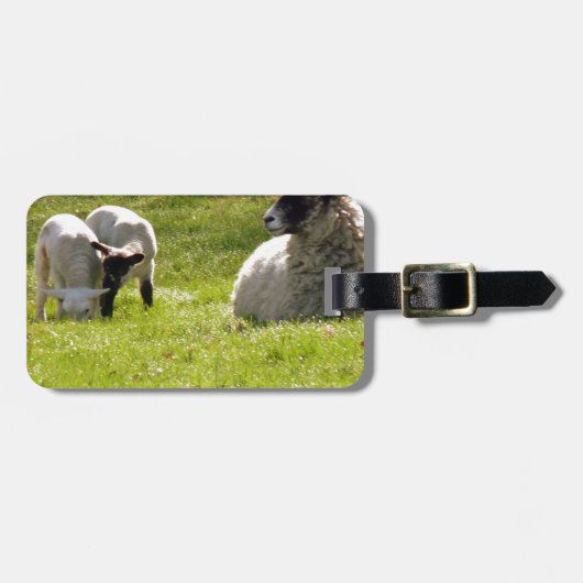 Schafe mit Frühlingslämmern Gepäckanhänger (Vorderseite horizontal)