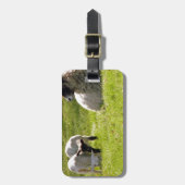 Schafe mit Frühlingslämmern Gepäckanhänger (Vorderseite vertikal)