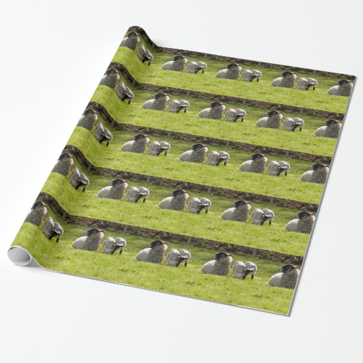 Schafe mit Frühlingslämmern Geschenkpapier (Ungerollt)
