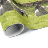 Schafe mit Frühlingslämmern Geschenkpapier (Rolleneckpunkt)