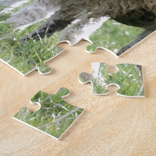 Schafe mit ihrem Lamm Puzzle (Seite)