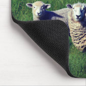 Schafe mit Lamm auf Graswiese Mousepad (Ecke)