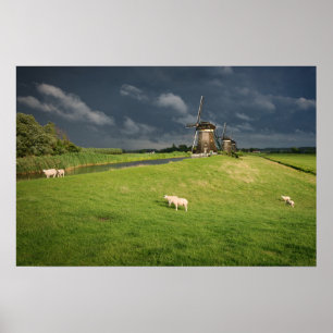 Schafe mit Windmühlen unter dunklen Wolken Poster