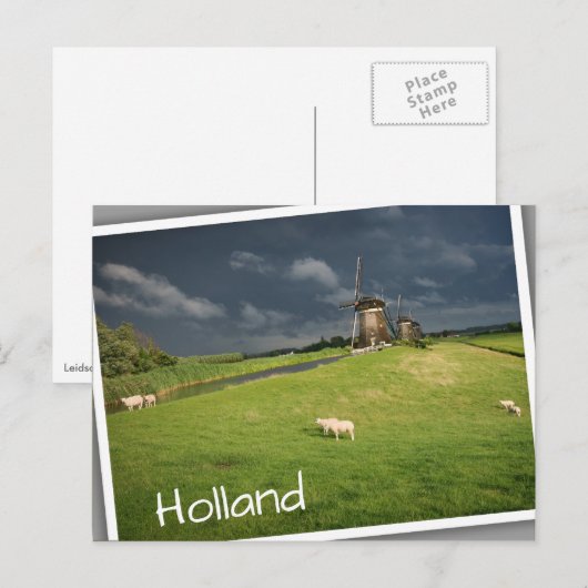 Schafe mit Windmühlen unter dunklen Wolken Postkarte (Vorne/Hinten)