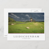 Schafe mit Windmühlen unter dunklen Wolken Postkarte (Vorne/Hinten)