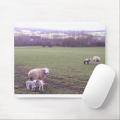 Schafe Mousepad (Mit Mouse)