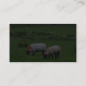 Schafe nähern sich Deerpark Irland Visitenkarte (Rückseite)