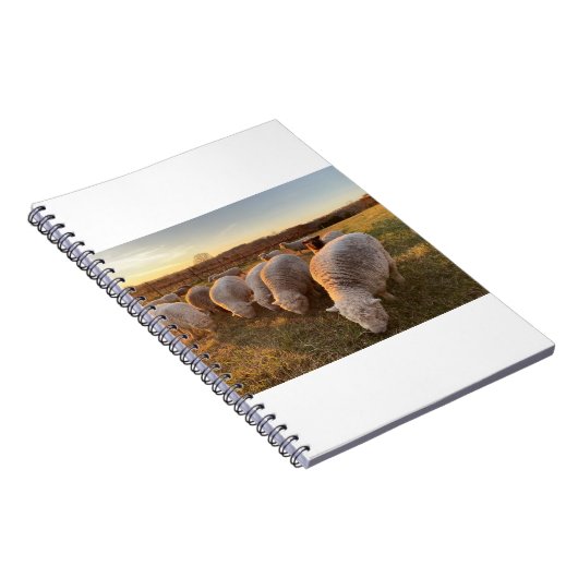 Schafe Notizblock (Rechte Seite)