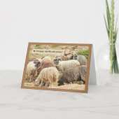 Schafe/ "Oh, schau, Leute mit Kameras in der Stadt Karte (Vorderseite)