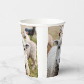 Schafe Pappbecher (Rechts)