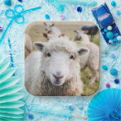 Schafe Pappteller (Party)