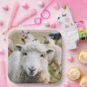 Schafe Pappteller (Party)