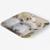 Schafe Pappteller (Gewinkelt)