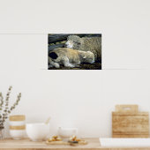 Schafe Poster (Küche)