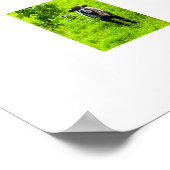 Schafe poster (Ecke)