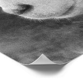 Schafe Poster (Ecke)