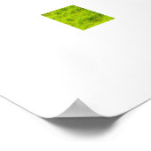 Schafe poster (Ecke)