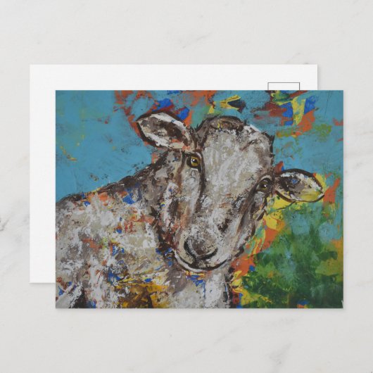 Schafe Postkarte (Vorne/Hinten)