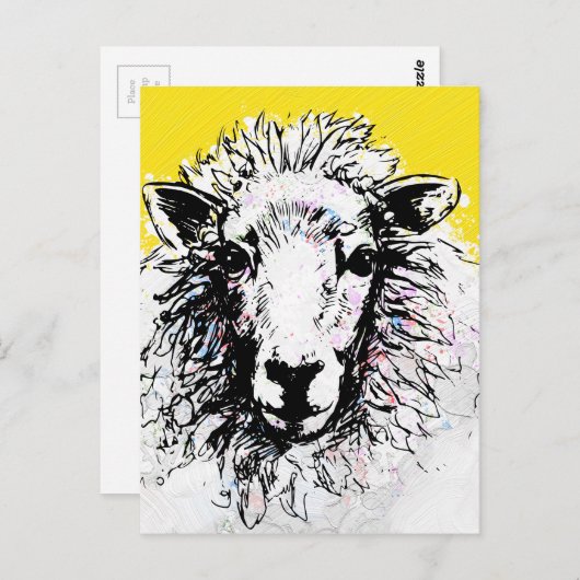 Schafe Postkarte (Vorne/Hinten)