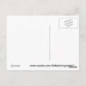 Schafe Postkarte (Rückseite)
