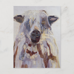 Schafe Postkarte