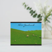 Schafe Postkarte (Stehend Vorderseite)